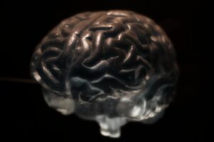 Everyday Habits That May Harm Your Brain Health