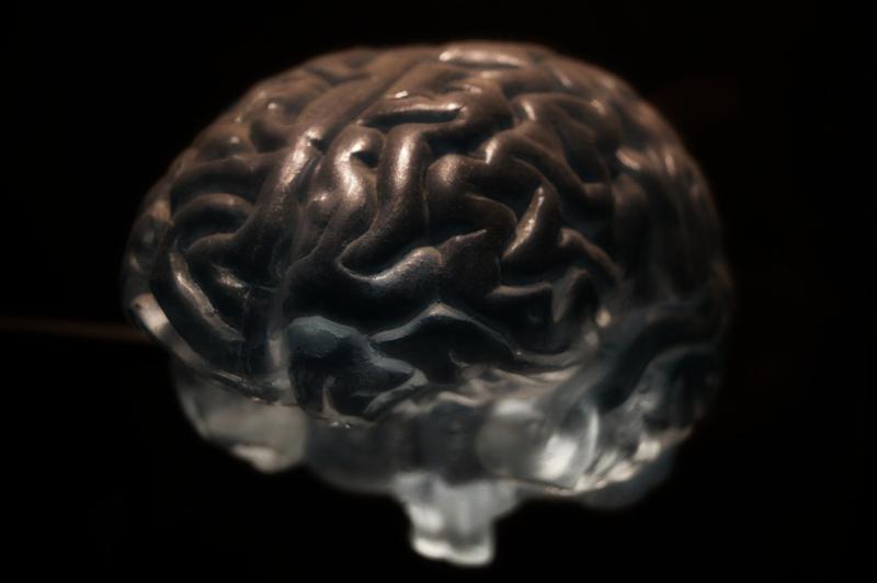 Everyday Habits That May Harm Your Brain Health
